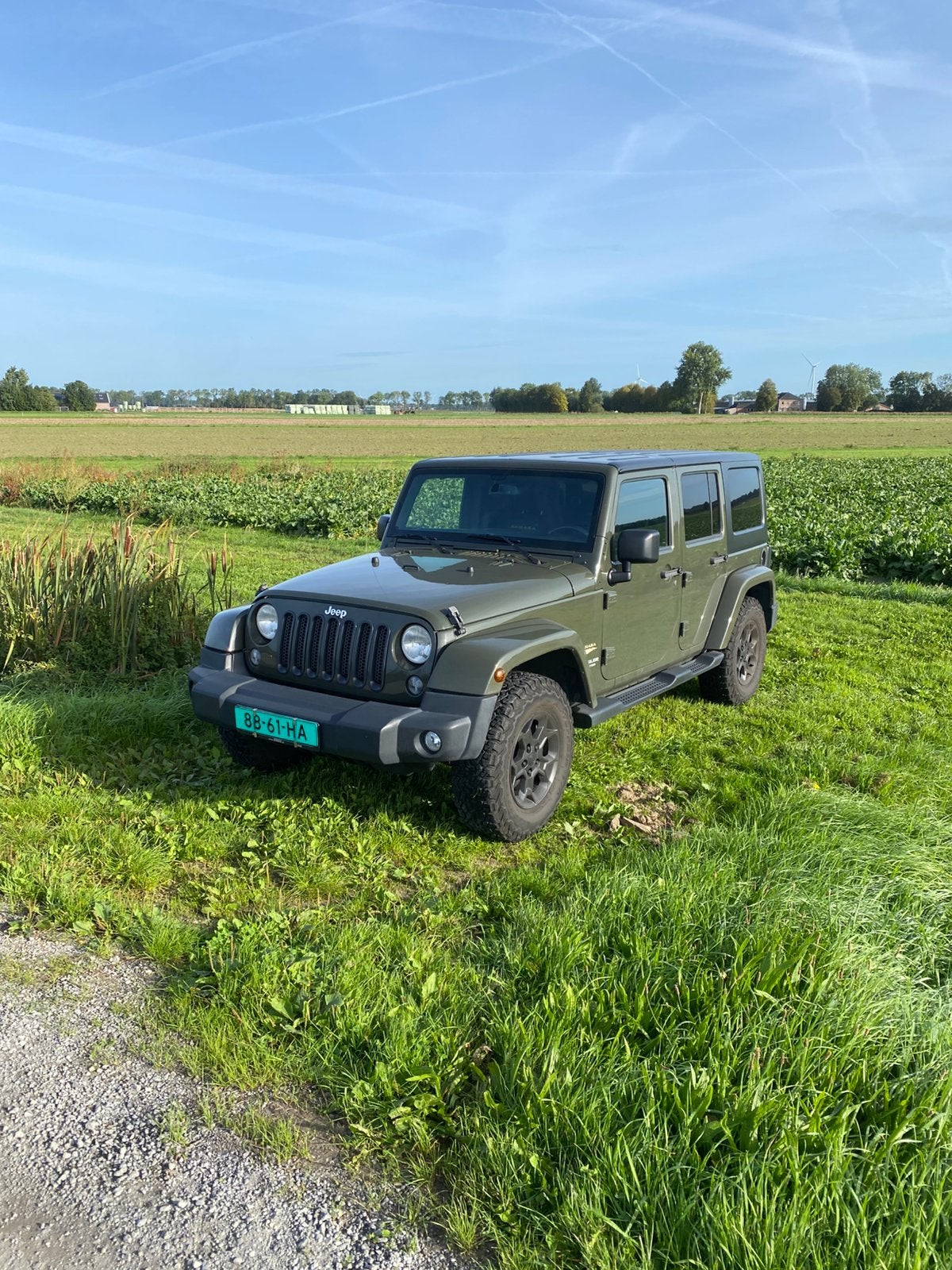 Jeep wrangler 2015 Groen, Auto's, 450 kg, 4 cilinders, Diesel, Vierwielaandrijving