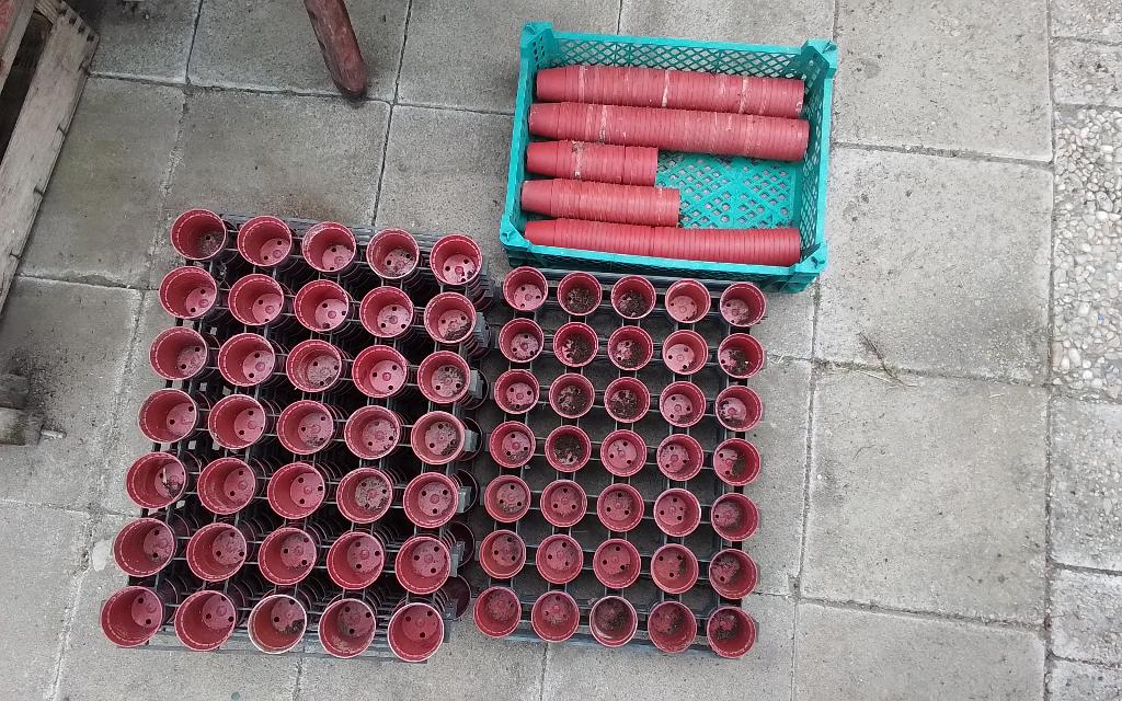 Kweekpotjes + tray, Tuin en Terras, Kweekspullen, Ophalen of Verzenden, Gebruikt, Overige typen