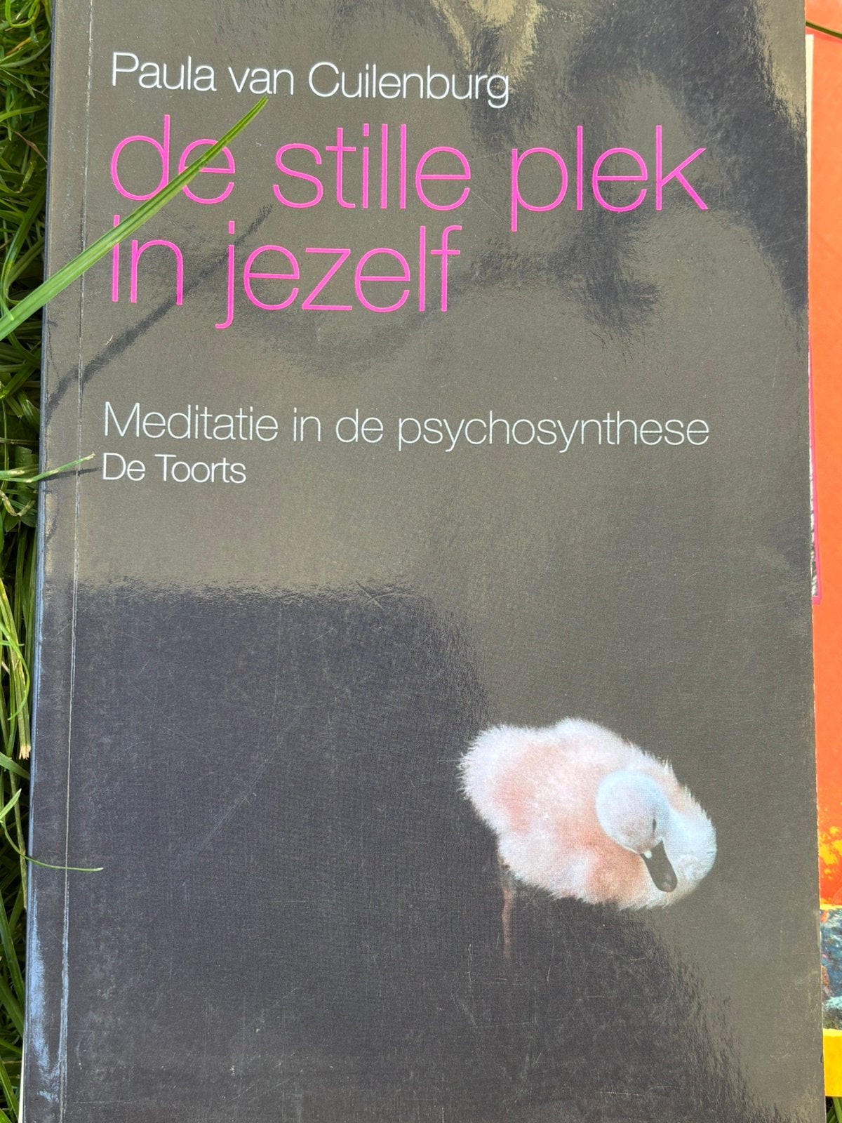 De stille plek in jezelf, Ophalen of Verzenden, Zo goed als nieuw, Cultuurfilosofie