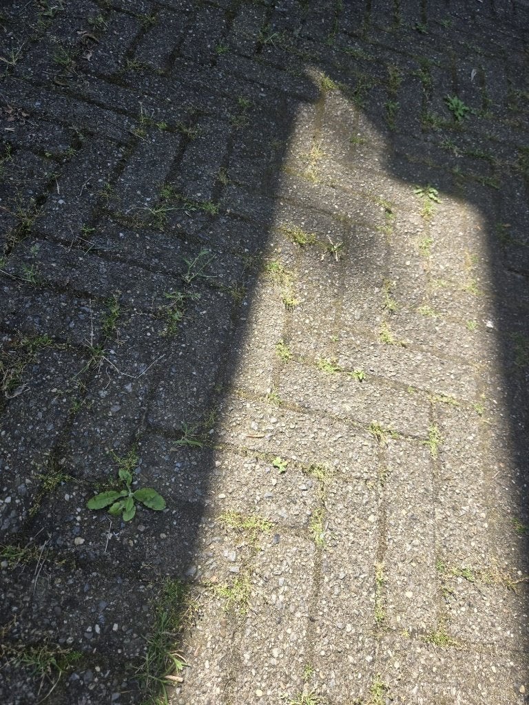 Klinkers gratis op te halen, Tuin en Terras, Tegels en Klinkers, Ophalen, Gebruikt, Klinkers, 10 m² of meer