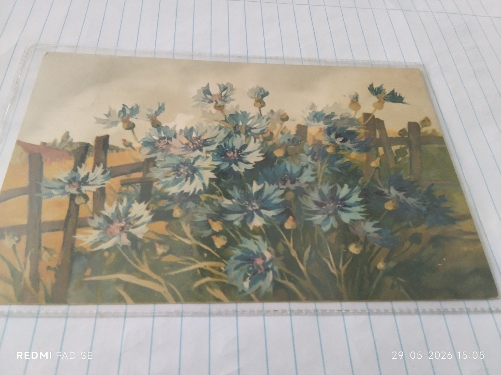 Oude Ansichtkaart Korenbloemen aan het Hek, 1898, Verzamelen, Ophalen of Verzenden, Voor 1920
