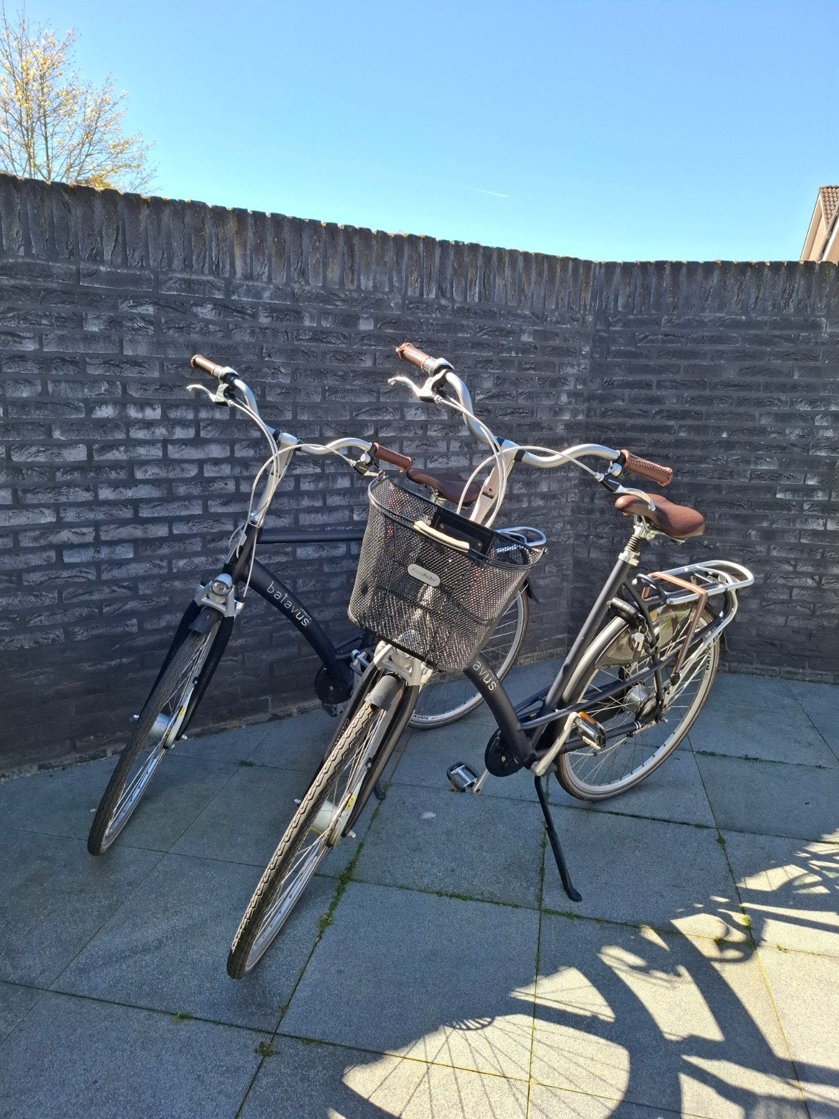 Dames- en/of herenfiets, Ophalen, Gebruikt, Versnellingen, Batavus
