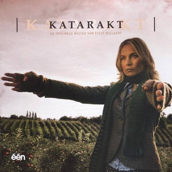 katarakt / down town abbey en prison break, Vanaf 12 jaar, Ophalen of Verzenden, Gebruikt, Drama