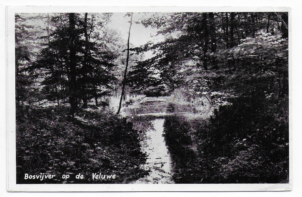 Veluwe bosvijver - oude gelopen ansichtkaart B7193 uit 1958, Ophalen of Verzenden, 1940 tot 1960, Gelopen, Gelderland