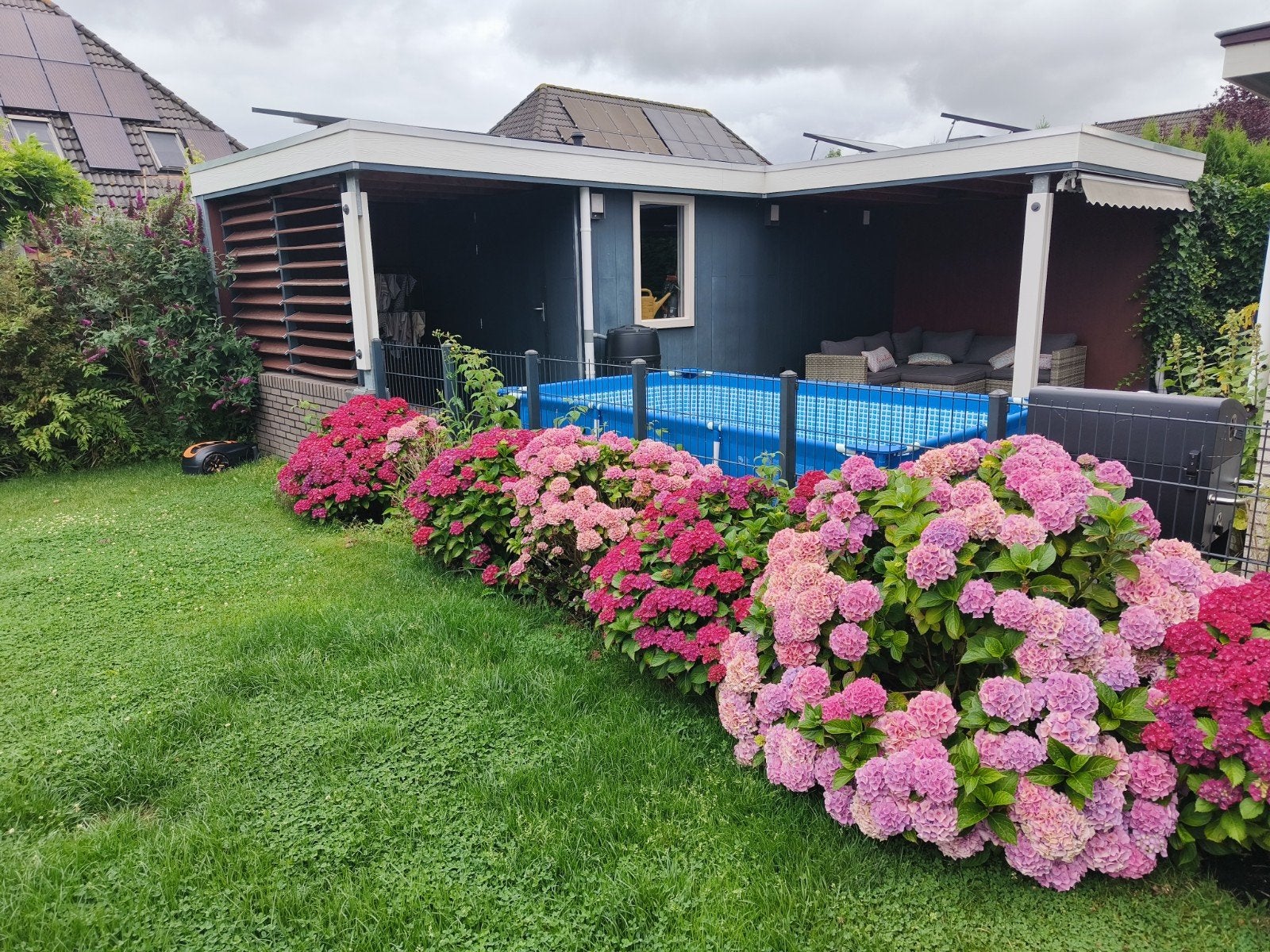 Stalen hek met deur en/of Hortensia's - zelf uitgraven, Ophalen of Verzenden