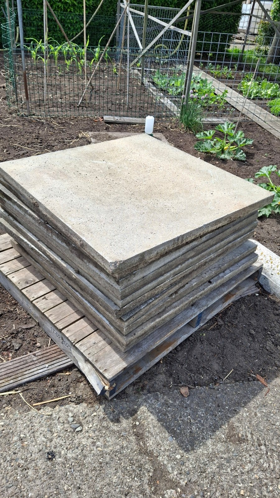 Schellevis 100x100, Tuin en Terras, Ophalen, Beton, Terrastegels