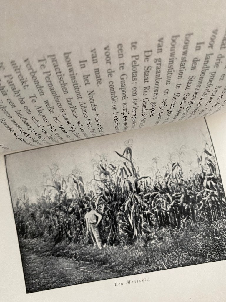 Brazilië. Een land der toekomst / 1909, Ophalen of Verzenden
