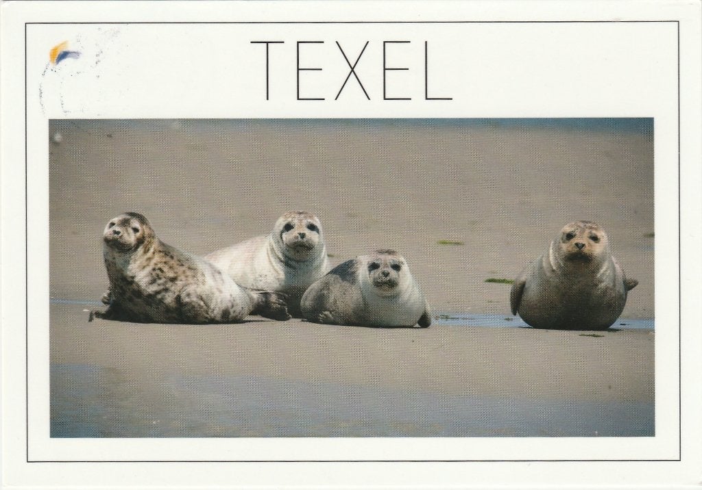 TEXEL Zeehonden, Verzenden, 1980 tot heden, Gelopen, Waddeneilanden