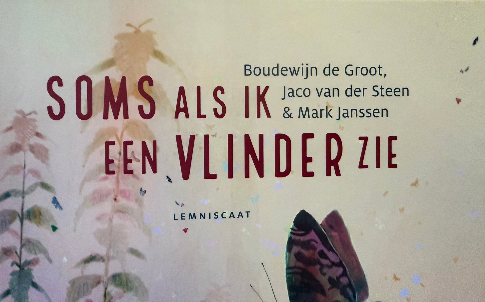 Muzikaal prentenboek “Soms als ik een vlinder zie”, Boeken, Ophalen of Verzenden, Zo goed als nieuw, Fictie algemeen