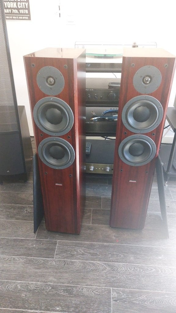 Dynaudio focus 220