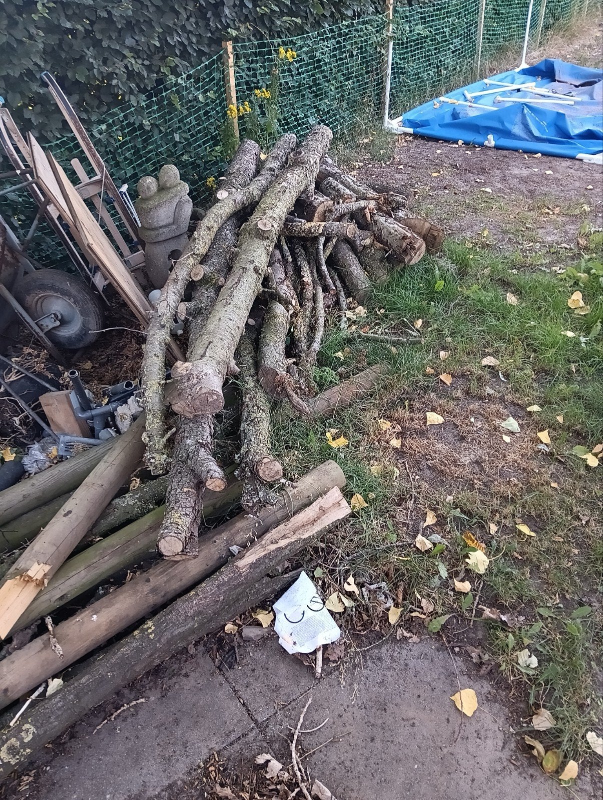 Mooi stookhout voor in de korf, Tuin en Terras, Haardhout, Minder dan 3 m³, Ophalen of Verzenden, Overige houtsoorten, Stammen