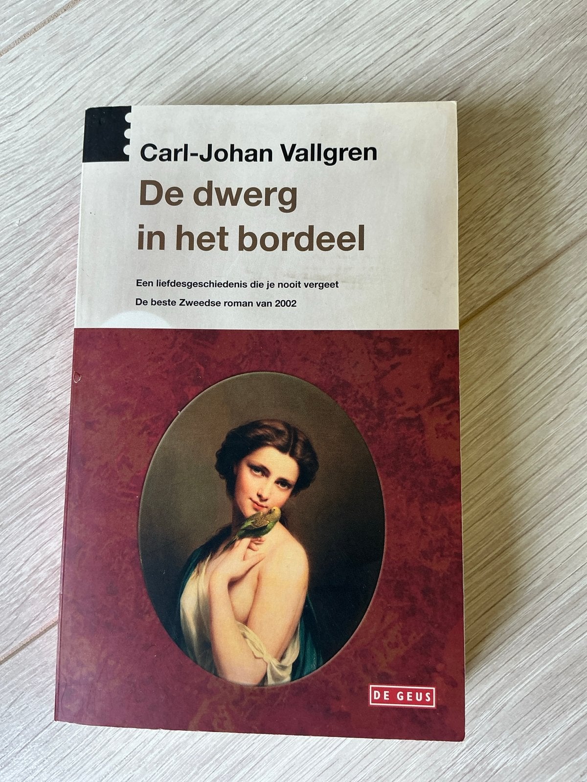 De dwerg in het bordeel - Carl-Johan Vallgren, Ophalen of Verzenden, Zo goed als nieuw, Europa overig