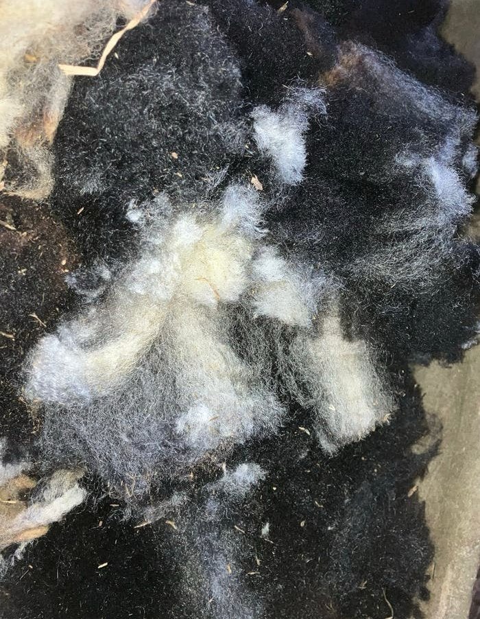 Schapenwol voor mulchen in de tuin, Ophalen, Nieuw