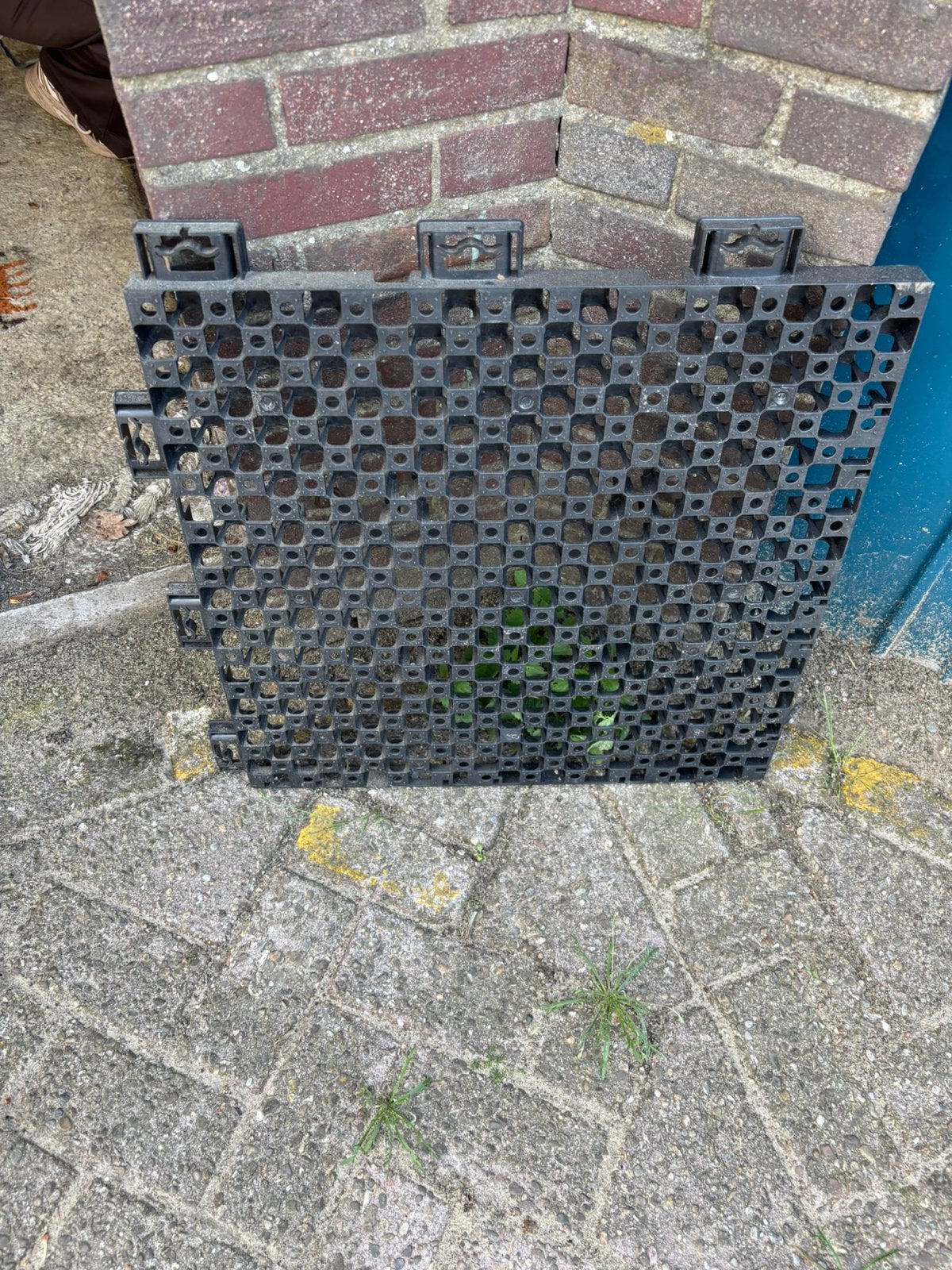 Drainbase, ondervloer voor voortent, kunstgras of sedum., Ophalen, Zo goed als nieuw