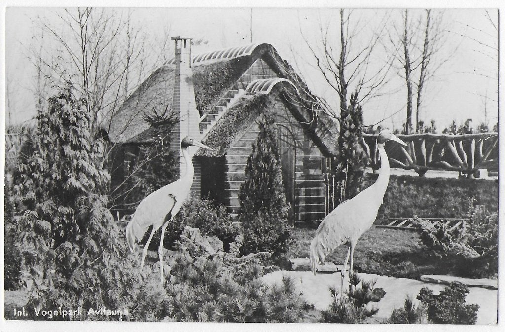 Alphen a/d Rijn Avifauna Oude gelopen Ansichtkaart (B3295, Ophalen of Verzenden, 1960 tot 1980, Gelopen, Zuid-Holland