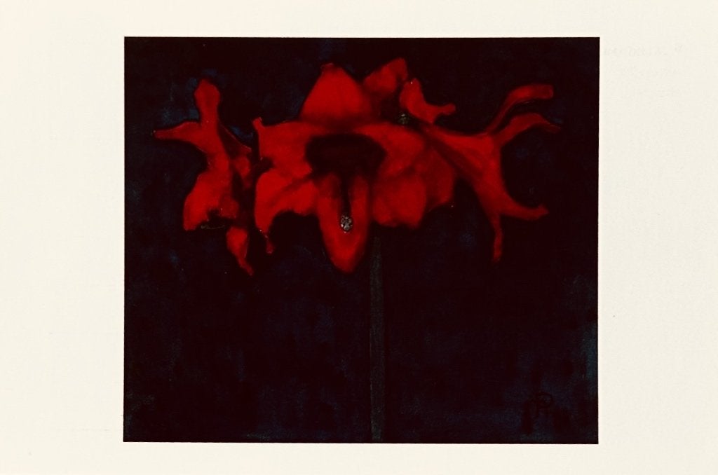 00067b PIET MONDRIAAN ~ Amaryllis aquarel, Verzenden, 1980 tot heden, Ongelopen, Overige thema's