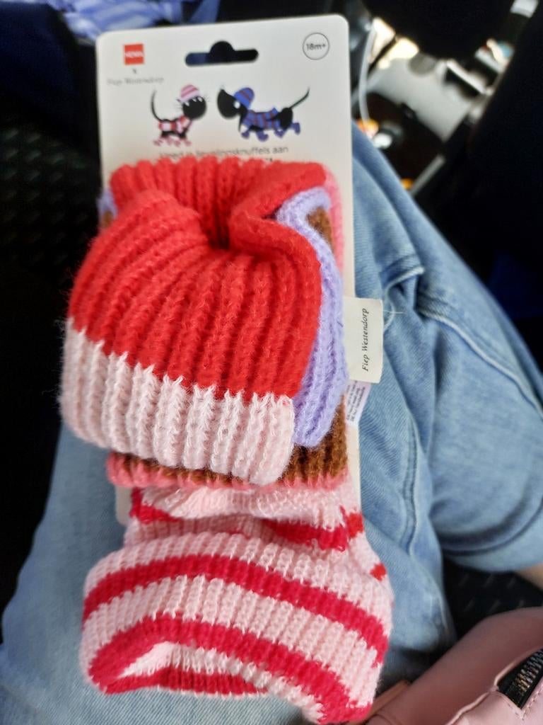 Verkleedset voor Takkie of Siepie, Ophalen of Verzenden, Nieuw, Overige typen