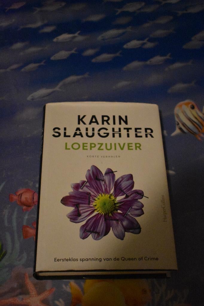2 boeken Karin Slaughter/loepzuiver & puntgaaf, Ophalen of Verzenden, Zo goed als nieuw, Karin Slaughter
