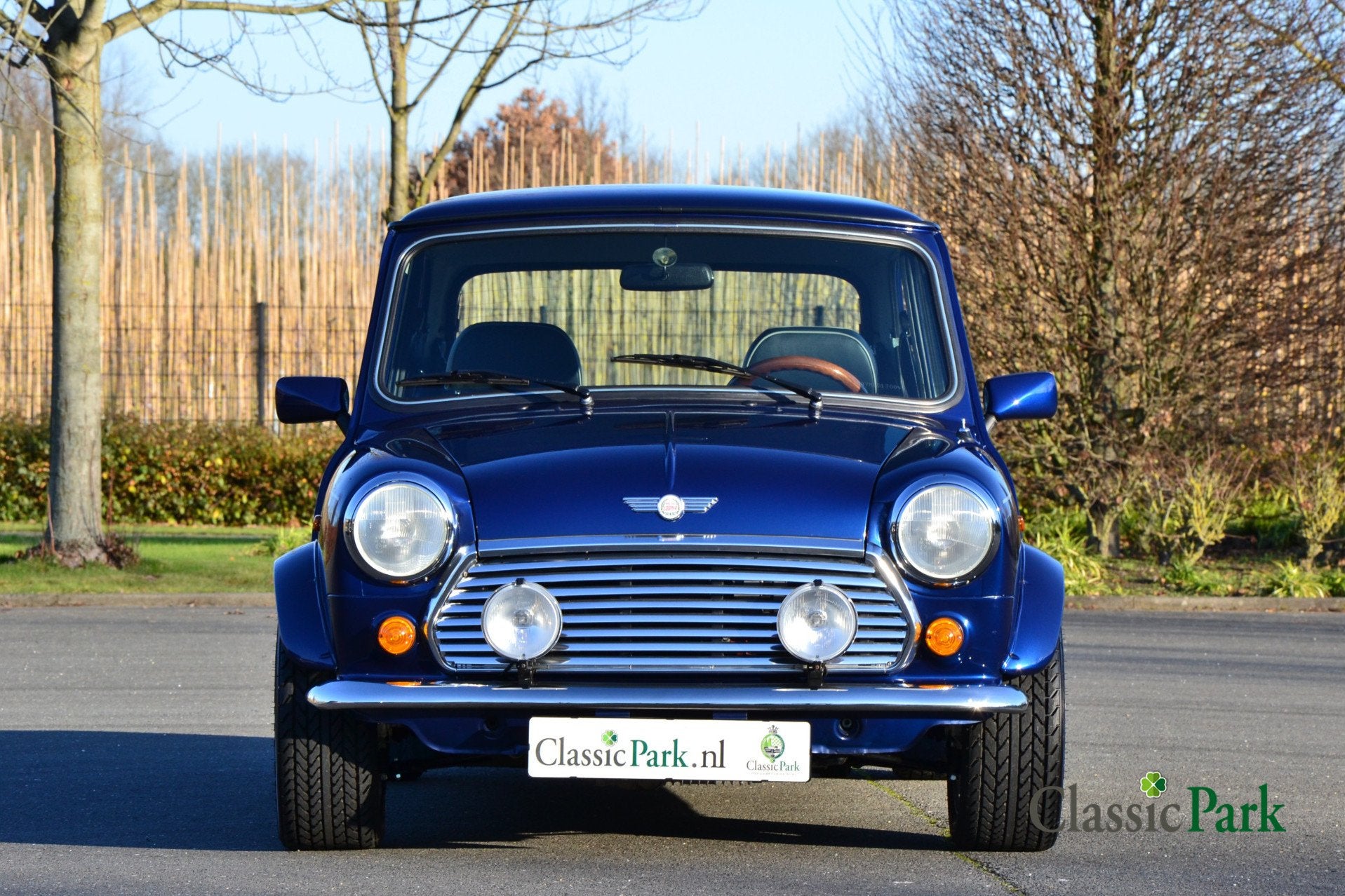 Rover Mini Cooper 1.3i "Blue Star" (bj 1996), foto 8