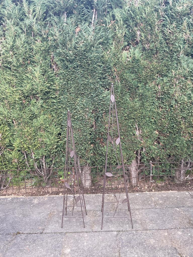 2x klim Obelisk, Tuin en Terras, Ophalen, Zo goed als nieuw