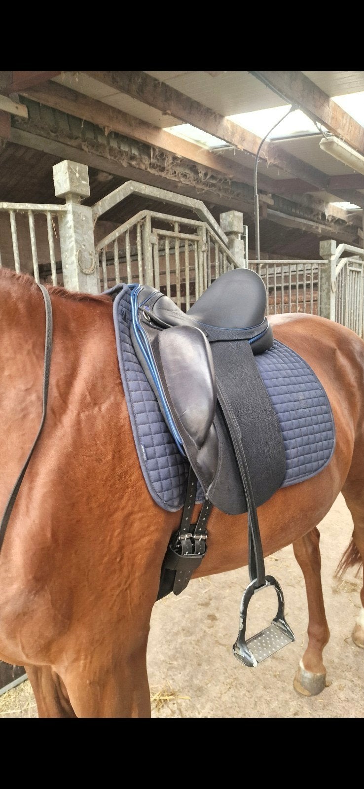KM CUSTOM medium/wide boom 18 inch, Dieren en Toebehoren, Ophalen, Zo goed als nieuw, Dressuur