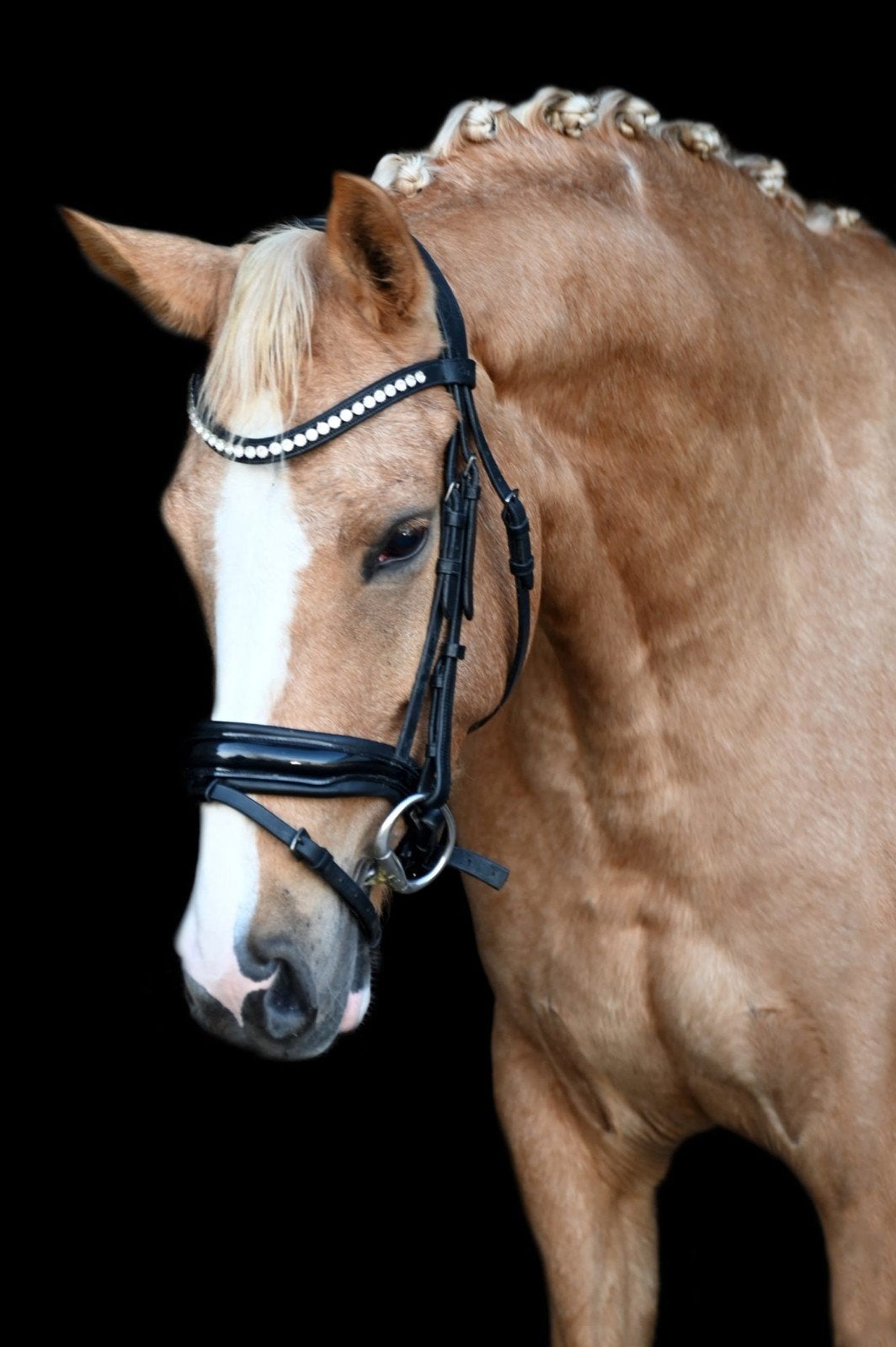 8 jarige lieve palomino merrie, Dieren en Toebehoren, Pony's, Merrie, Dressuurpony, 7 tot 10 jaar, D pony (1.37m tot 1.48m)