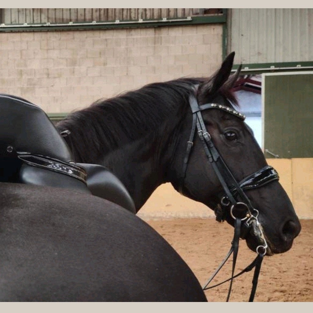 Bridle2fit stang en trens hoofdstel, Ophalen of Verzenden, Zo goed als nieuw, Dressuur