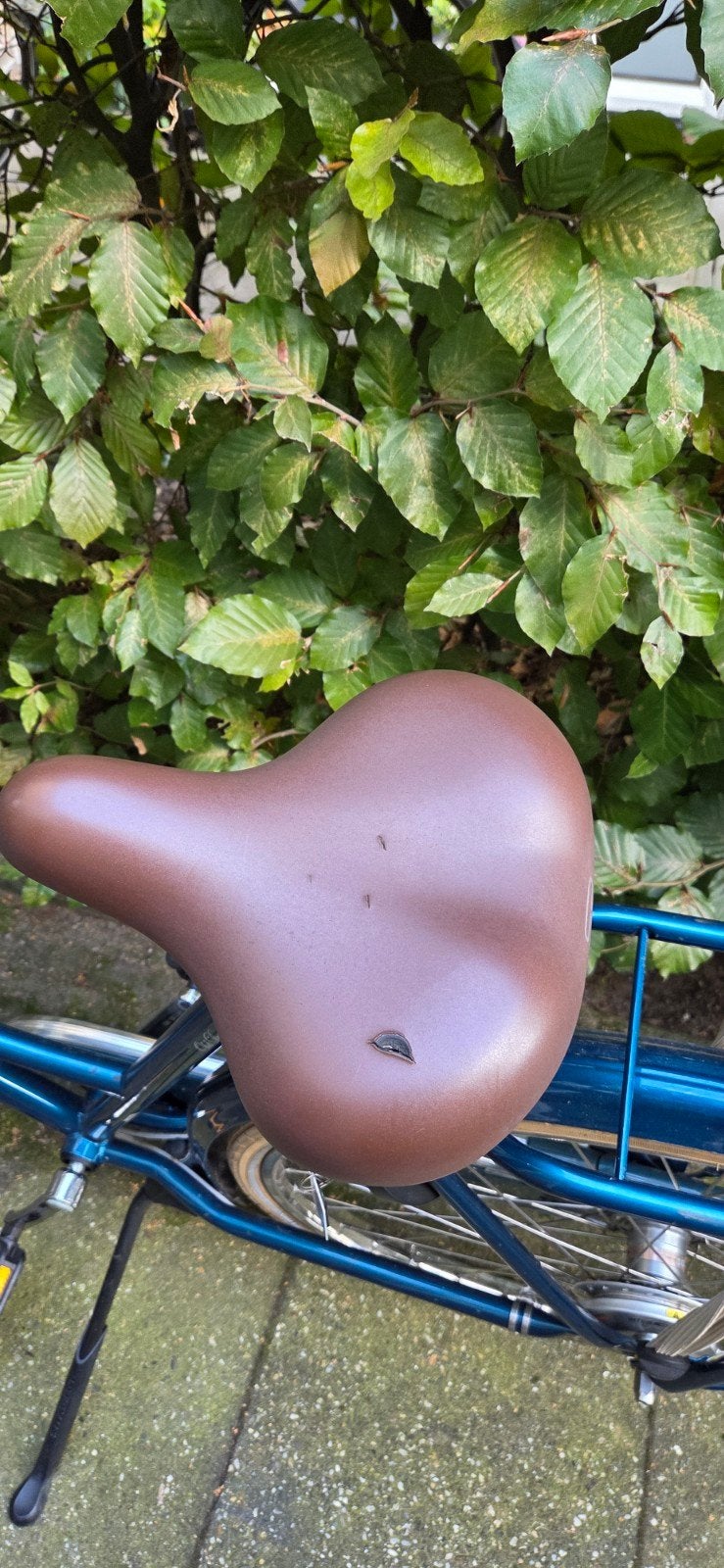 Foto 7 van Batavus old Dutch Damesfiets