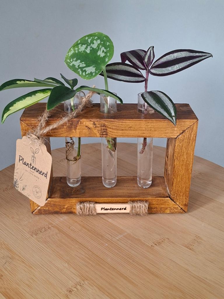 🍀Handgemaakt Stekstation By Plantennerd, Verzenden, Halfschaduw, Minder dan 100 cm