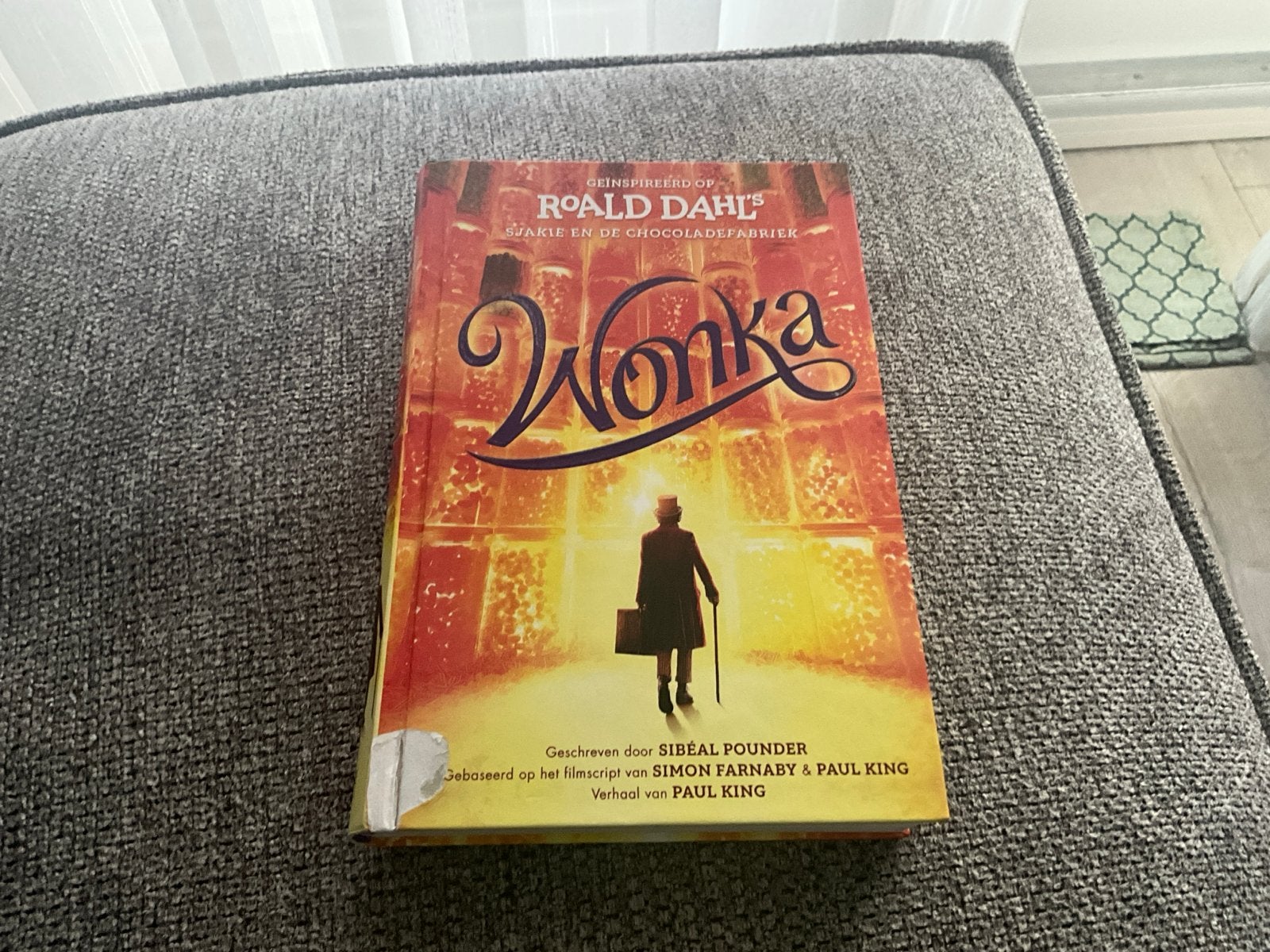 Wonka Boek - Geïnspireerd op Roald Dahl, Ophalen of Verzenden, Zo goed als nieuw, Nederland