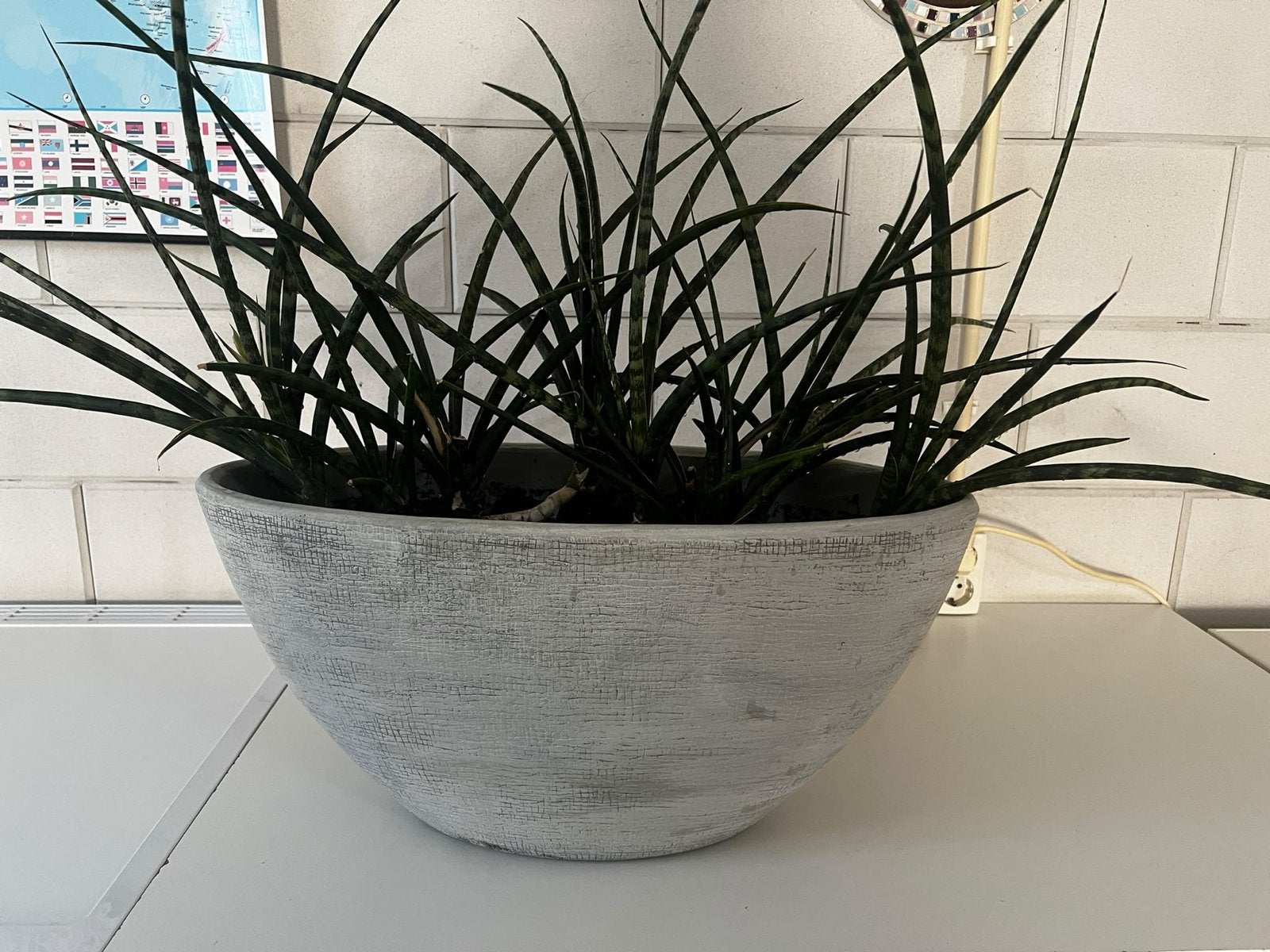 Ovale plantenbak 55 cm breed, 26 cm hoog, Huis en Inrichting, Ophalen, Gebruikt, Overige vormen, Overige materialen