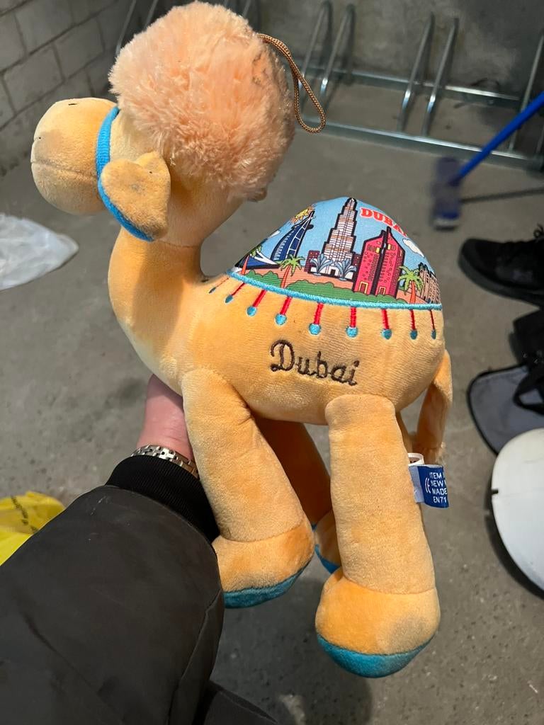 Teddybeer, Ophalen of Verzenden, Zo goed als nieuw, Beer