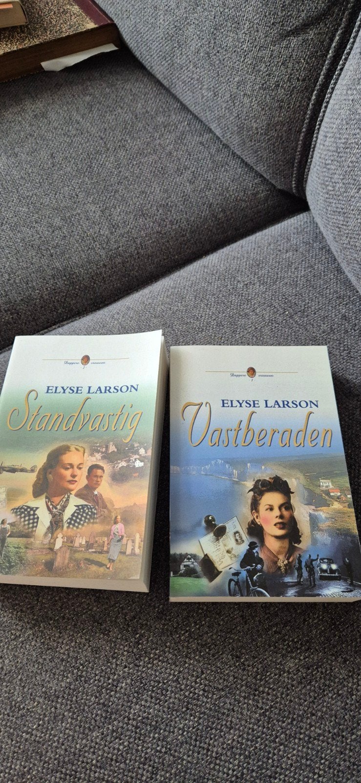 Elyse Larson, Ophalen of Verzenden