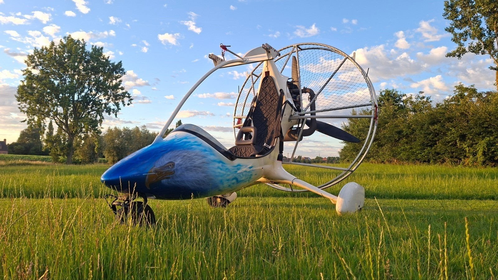 Unieke Trike met Adelaar Design - pracht exemplaar, Sport en Fitness, Zweefvliegen en Paragliding, Ophalen of Verzenden