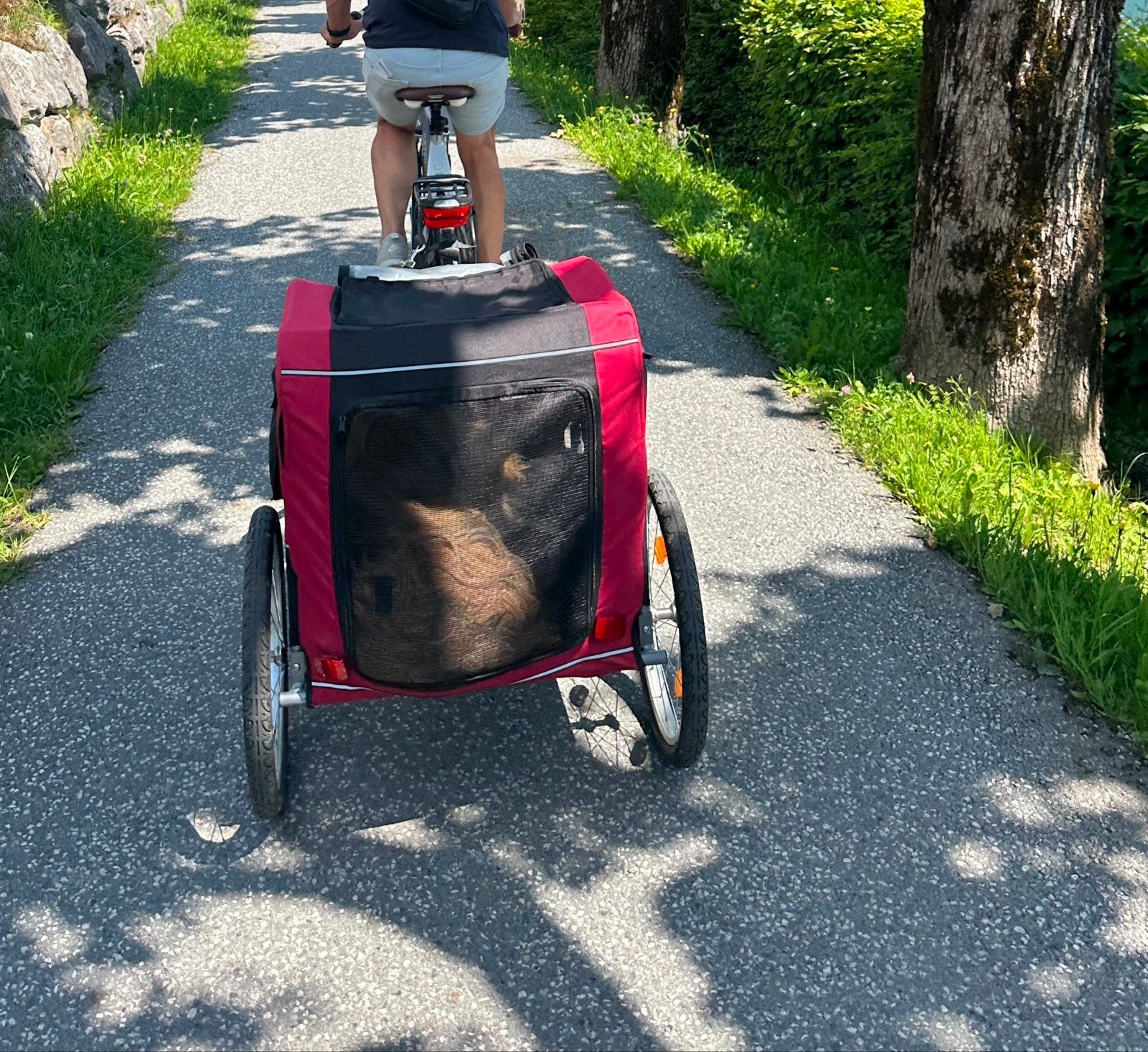 Trixie Honden fietskar L, Ophalen, Gebruikt, Hondenkar