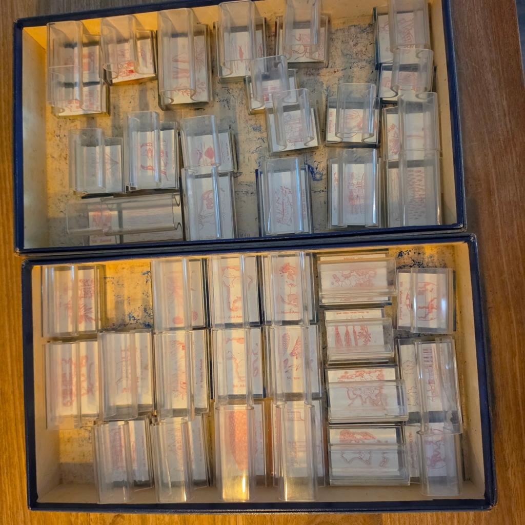 Vintage Schoolstempels met Diverse Afbeeldingen, Ophalen of Verzenden, Gebruikt