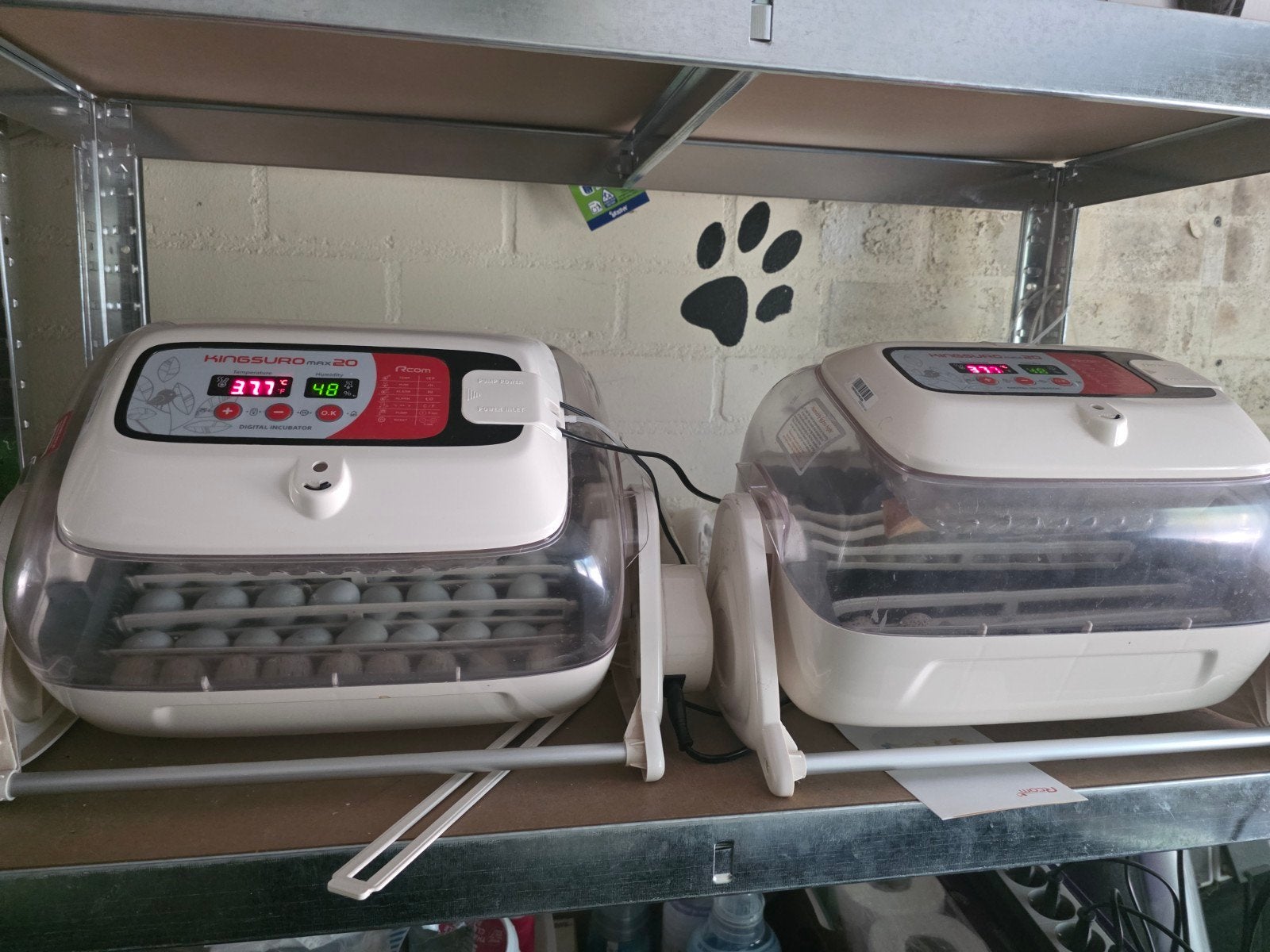 broedmachine Kingsuro max 20, Dieren en Toebehoren, Ophalen of Verzenden, Zo goed als nieuw, Broedmachine