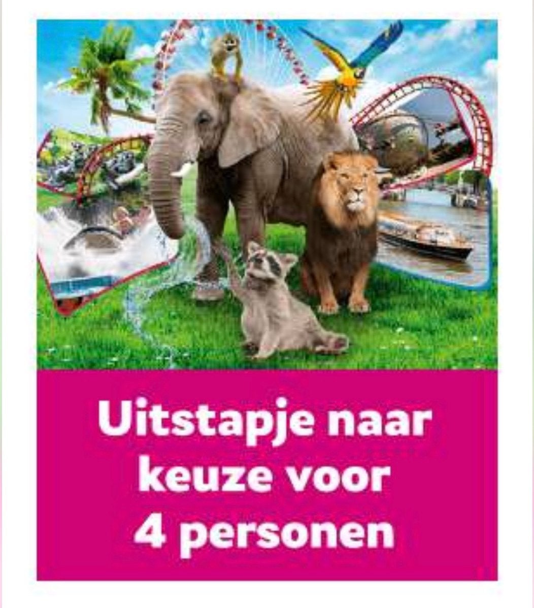 Uitstapje naar keuze 4 personen oa dierentuin, pretparken (m2453298081 ...