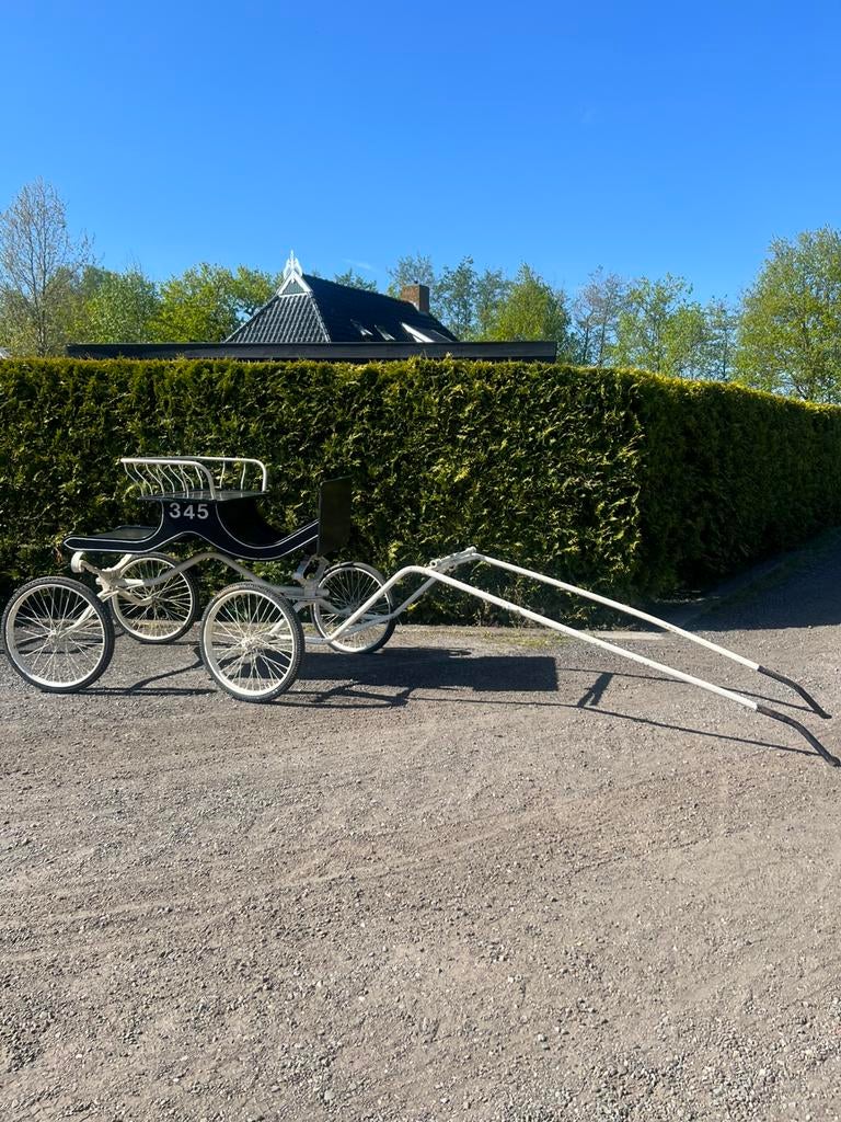 Rijtuig/koets te koop, Dieren en Toebehoren, Rijtuigen en Koetsen, Overige typen