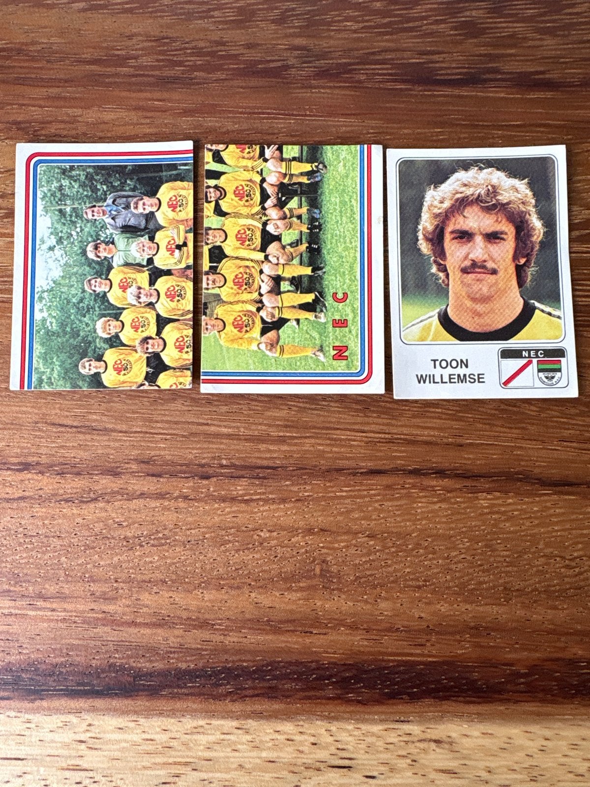 Panini Voetbal 1979 - NEC Nijmegen Team en Toon Willemse, Hobby en Vrije tijd, Ophalen of Verzenden, Zo goed als nieuw, Stickers en Plaatjes