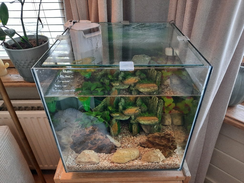 Aquarium (30L) met toebehoren, Dieren en Toebehoren, Vissen | Aquaria en Toebehoren, Ophalen, Gebruikt, Leeg aquarium, Superfish