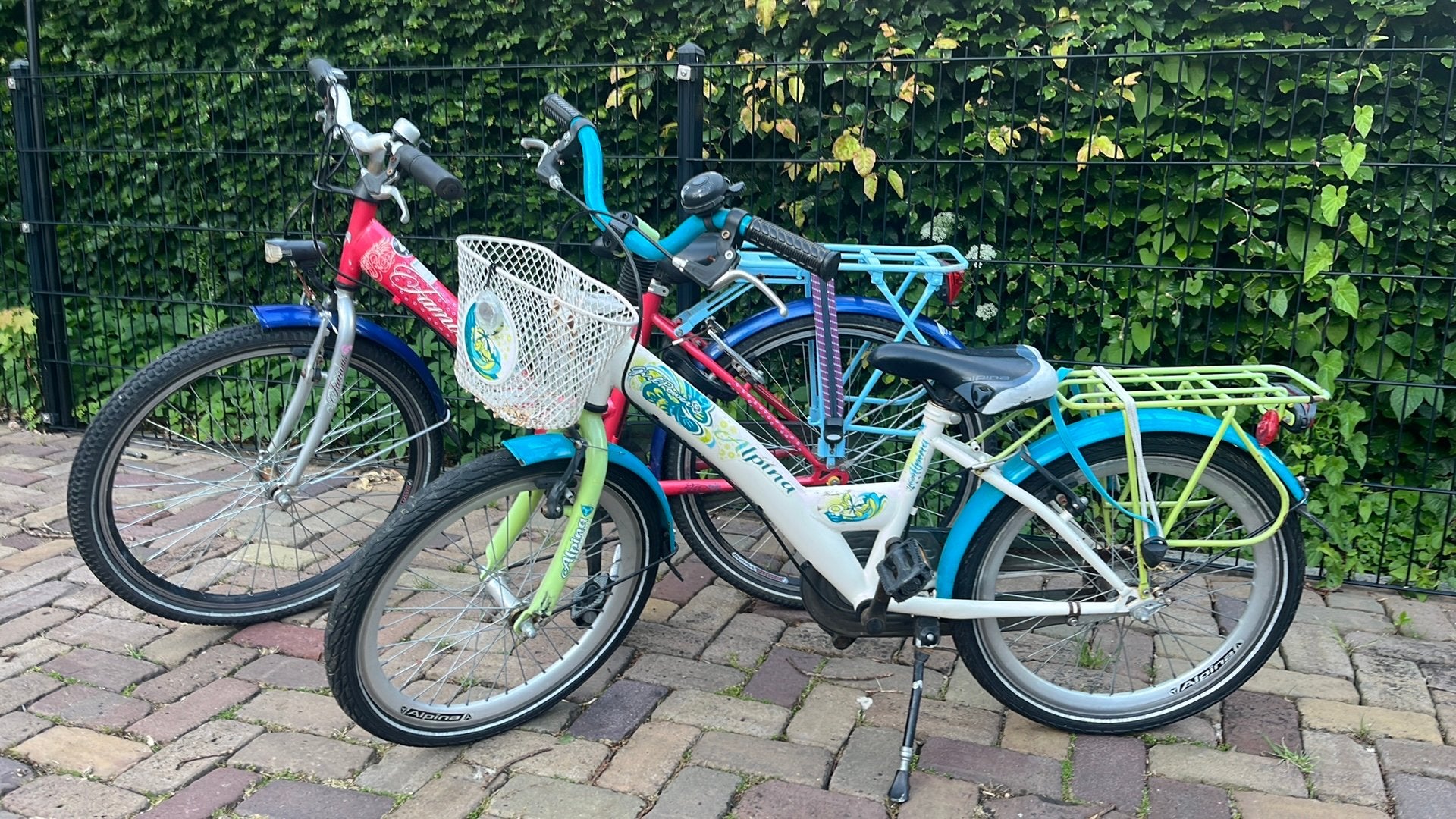 Sparta Young 24 inch en Alpina Young 18 inch, Ophalen, Gebruikt, 24 inch, Versnellingen