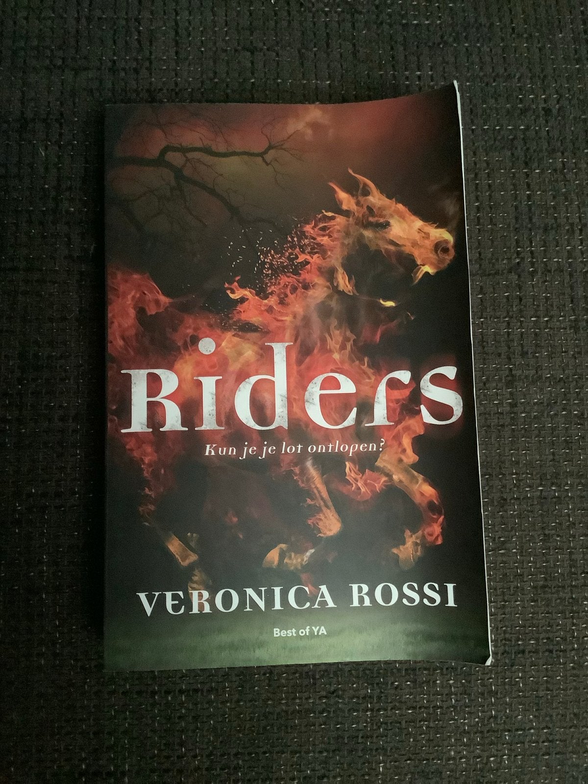 Riders - Veronica Rossi (Best of YA), Ophalen of Verzenden, Gelezen