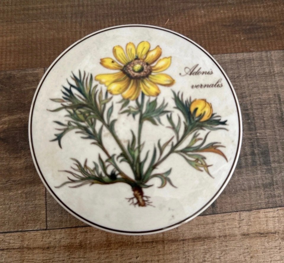 Villeroy & Boch Botanica bakje, Ophalen of Verzenden