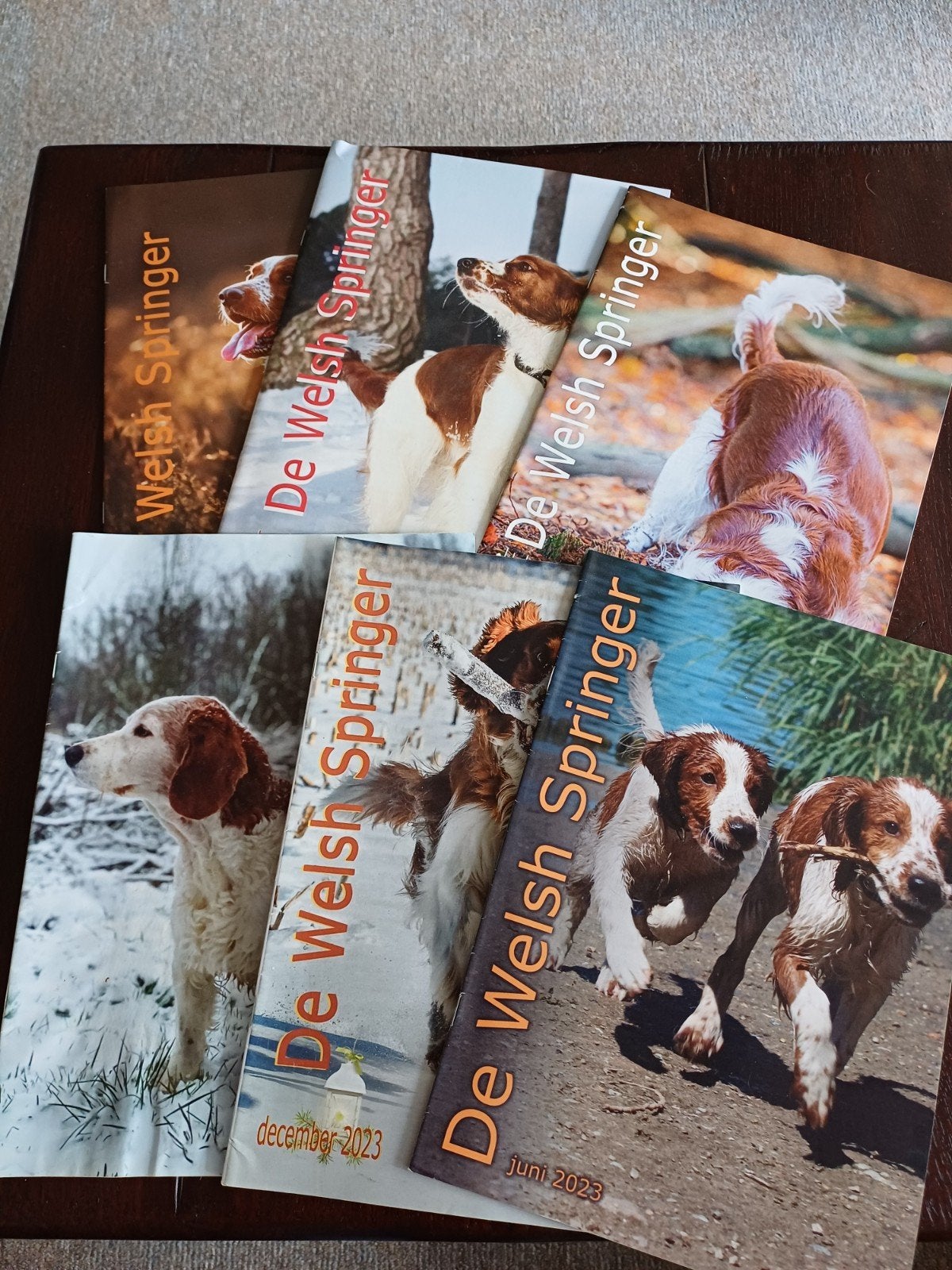 Tijdschrift Welsh Springer Spaniël - Informatief en Mooi, Ophalen of Verzenden, Zo goed als nieuw, Overige typen