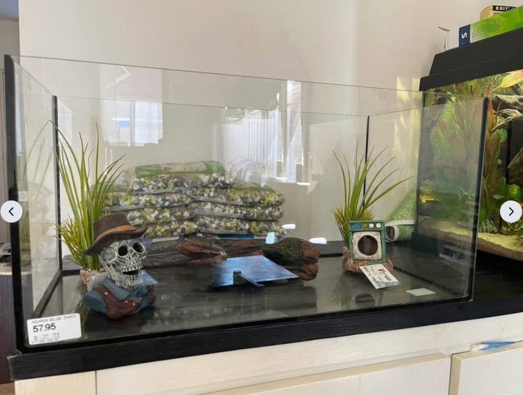 Nieuw aquarium met toebehoren, 54 liter, als set of los, Ophalen, Inclusief toebehoren, Nieuw, Leeg aquarium
