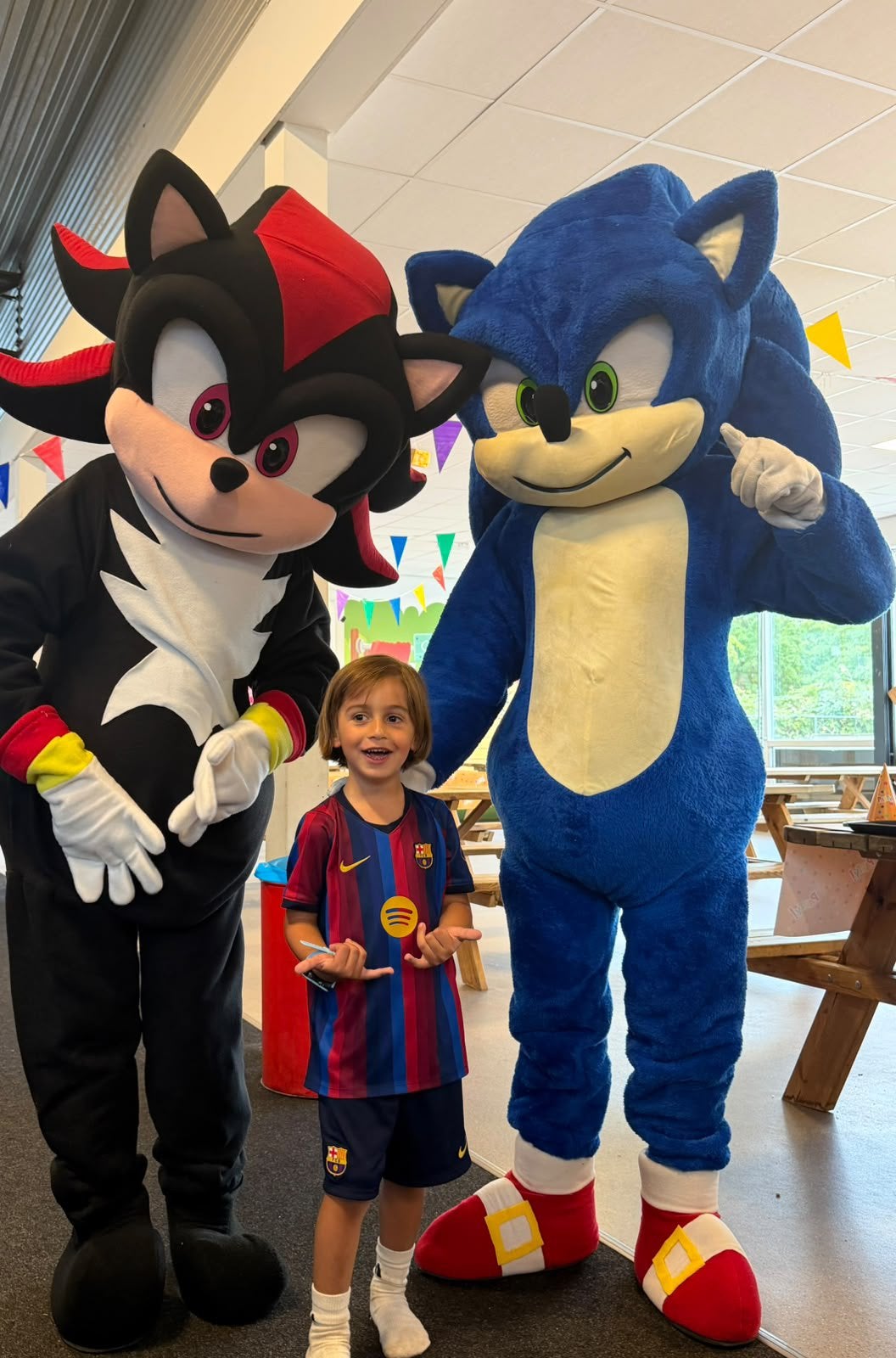 Sonic, Shadow of andere mascottes (zie foto’s) op je feest?, Ophalen