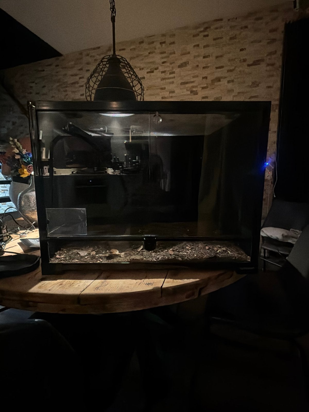 Starters Terrarium met benodigheden, Dieren en Toebehoren, Ophalen, Zo goed als nieuw, Terrarium of Paludarium