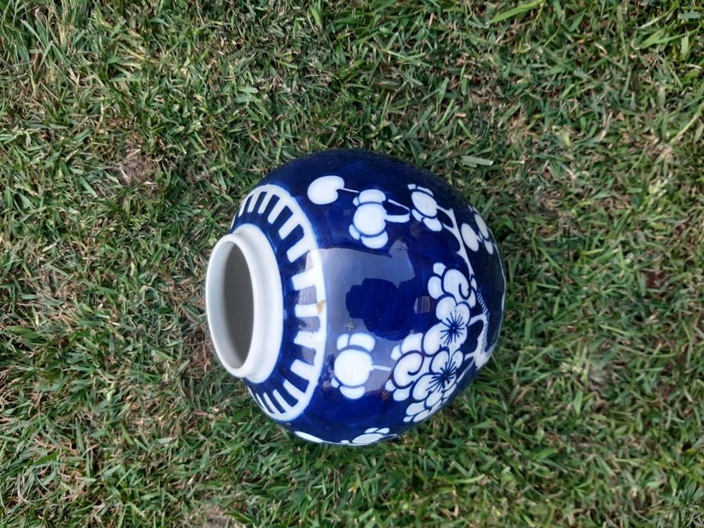 Vintage Chinees Blauw-Wit Gemberpot met Bloesemdecor, Ophalen