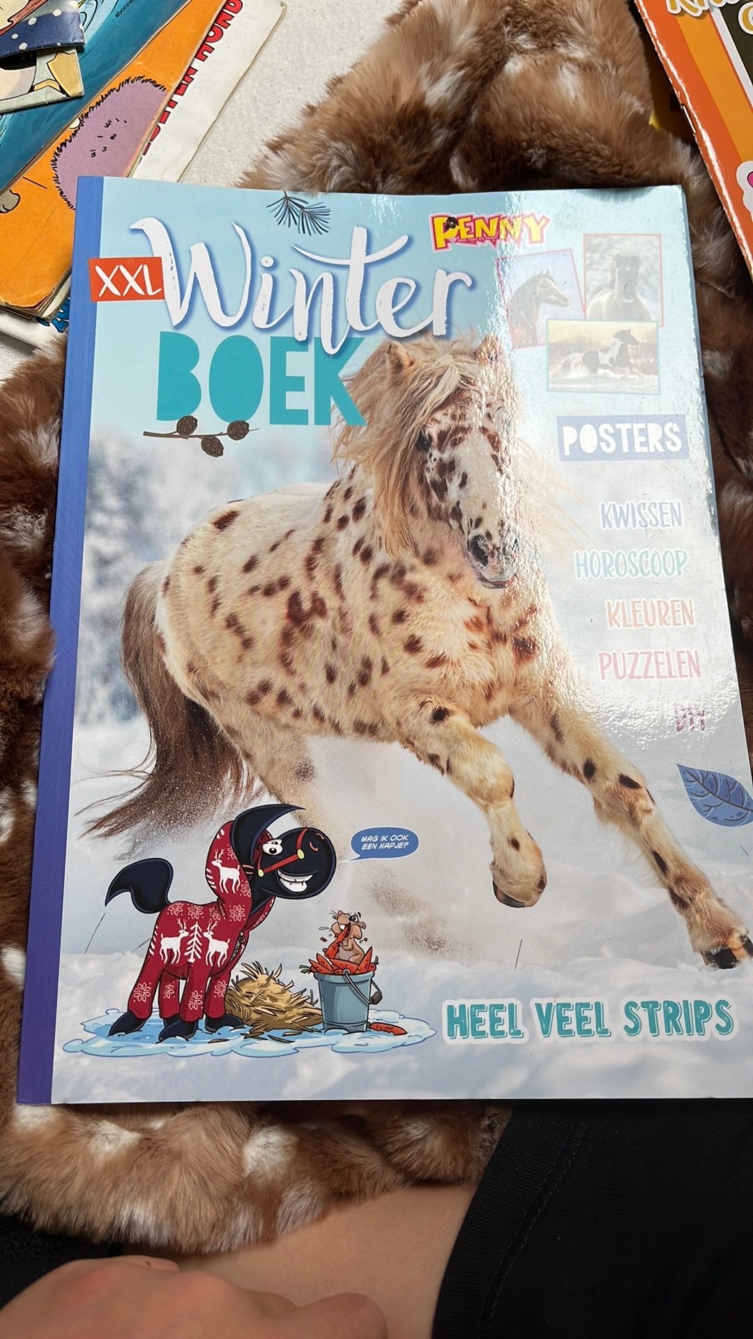Een super leuk penny winter doeboek, Boeken, Ophalen, Zo goed als nieuw